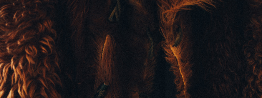 fur coat wear