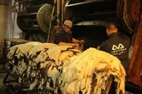 Work inside the tannery