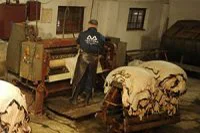Lamb skins inside the tannery